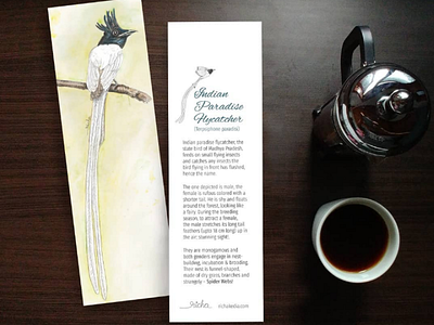 Paradise flycatcher bookmark birdillustration birds bookmark books graphicdesign illustration