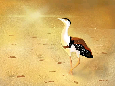 Illustration of GIB bird conservation digital drawing illustration painting procreate savegib wildlife