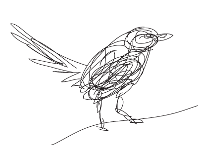 Birdline in Line Work bird line simple sketch