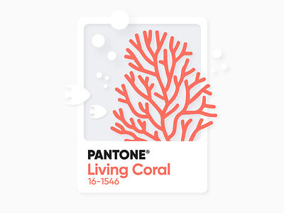 // Living Coral // color living coral pantone