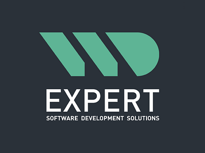 Wd Expert Logo Design branding logo logotype