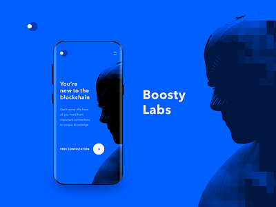 Boosty Labs - Website Design