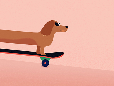 Dachshund Skater aftereffects animation character cool crusing dachshund dog illustration jezovic longboard loop motion motion design puppy ride skateboard skateboarding skater sunglasses yolo