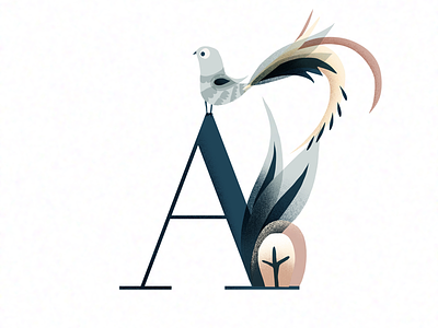 A alphabet customlettters illustration lettering letters