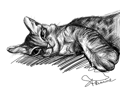 Caaat) black white cat digital graphic lineart