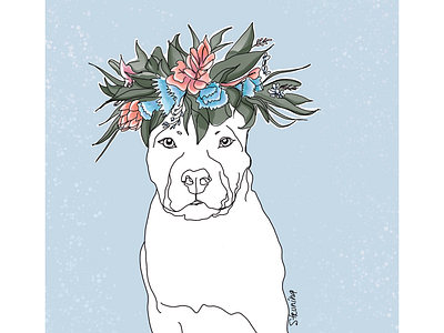 Pitbullflowerpower