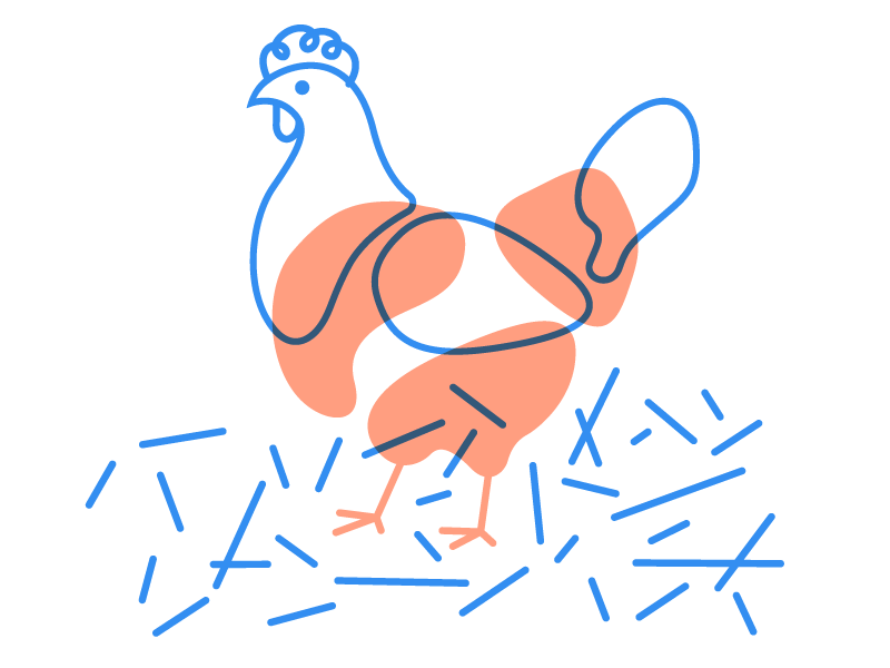 The best birds make breakfast print orange blue illustration risograph riso hen chicken