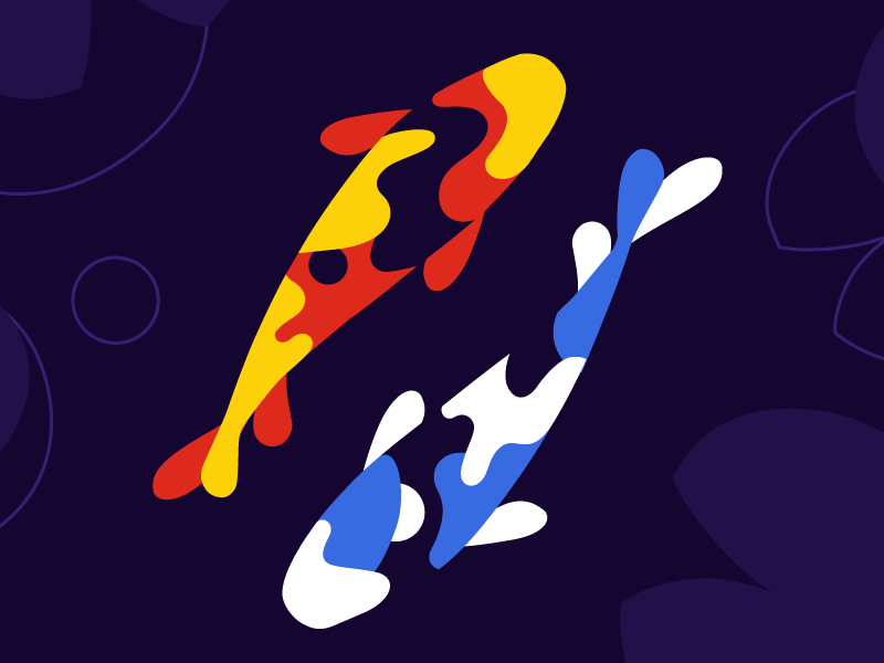 Koi friends white blue yellow orange vector colorful illustration pond fish koi