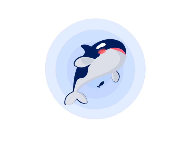 dolphin design gif