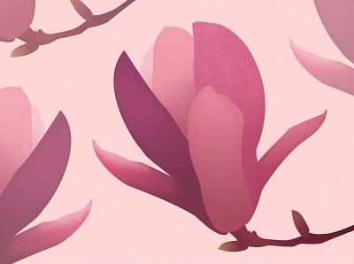 Magnolia adobe illustrator flat design flower grain grain texture grainy graphic design illustration illustration design illustrator magnolia nature pattern pink pinks vector
