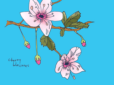 ART EVERY DAY NUMBER 344 / ILLUSTRATION / BLOSSOMS cherryblossom flowers illustration