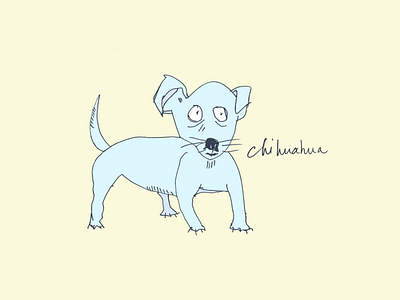 ART EVERY DAY NUMBER 419 / ILLUSTRATION / BLUE CHIHUAHUA blue chihuahua dog illustration