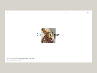 Citrys Perfumes Issue 56 e commerce layout minimal minimaldesign typography ui ux web webdesign