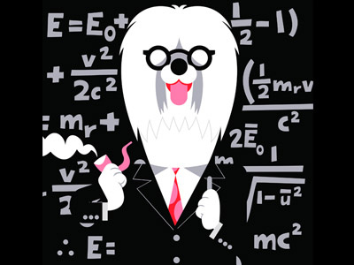 Mad Scientist albert cartoon character design design dog einstein english illustration math pipe science sheepdog