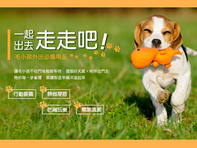 Landing / Web design - Pets