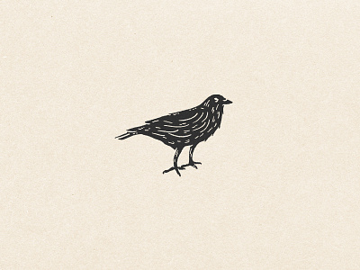 Crow bird crow drawing icon illustration logo raven rough simple vintage