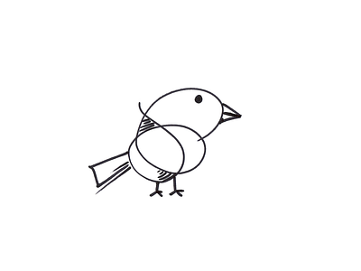 Squiggle Bird