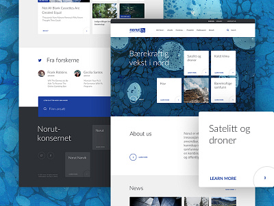 Norut design site ui ux web web design webdesign website