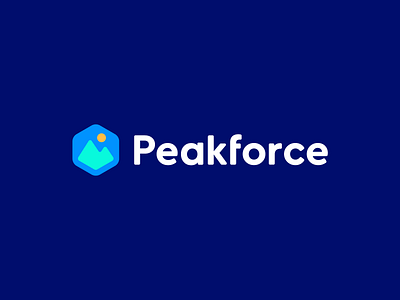 Peakforce - startup mountain logo