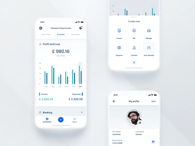 Haibooks: Keep your business finances on track accountant ai app autmated business control dashboard expenses financial income interaction ios management mobile organisation profit real time report ui ux
