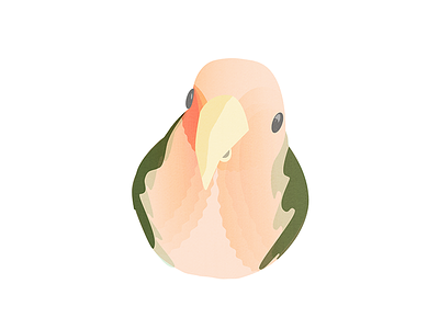 The Bird bird character design illustration