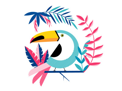 Tucan bird dribbble flat illustration tucan vector