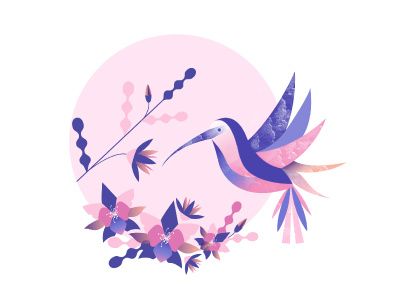 Bird adobe colors flat gradient hummingbird illustration illustrator vector vectorillustration