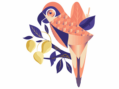 Parrot animal bird flat geometic illustration illustrator vector vectorillustration webdesign