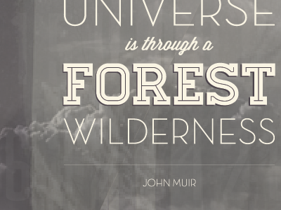 Through a Forest Wilderness clouds design forest graphic gray grey layout nature quote typography wilderness