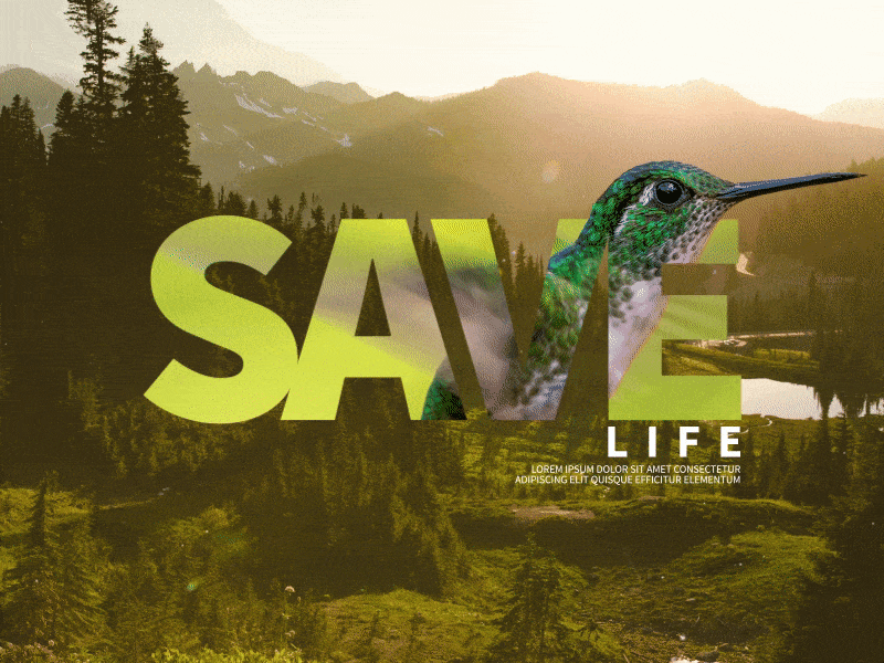 Save life after affects animal animation bird blink eyes fly gif hummingbird hummingbirds life nature save wings