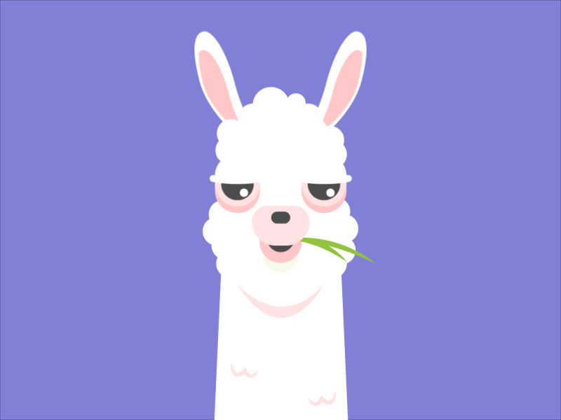 Love for Llama ❤️️ aftereffects animation flat illustration llama loop