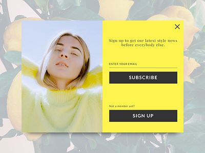 Daily UI 016 Pop up / Overlay dailyui fashion overlay popup signup subscribe ui ux web