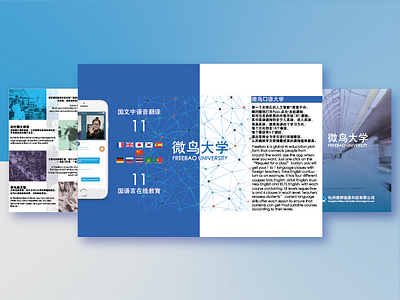 Freebao new brochure brochure