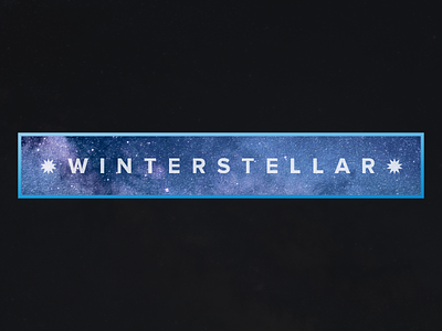 * winterstellar * logo naming wordmark