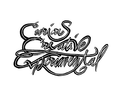 Curious, Creative, Experimental calligraphy cursive digitalart illustration lettering procreate script typography