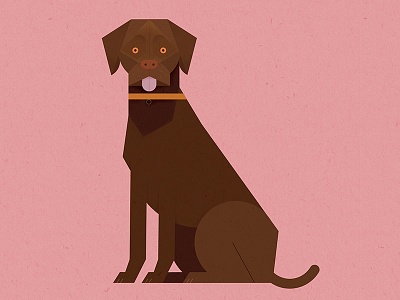 Chocolate Labrador cute design dog geometric illustration