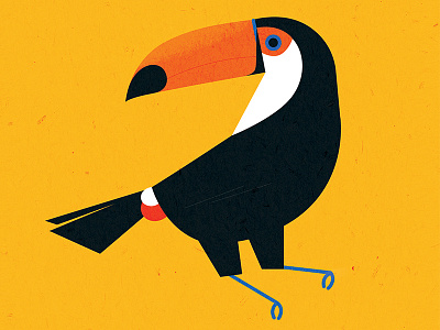 Toco Toucan animal bird flat geometric simple texture toucan vector