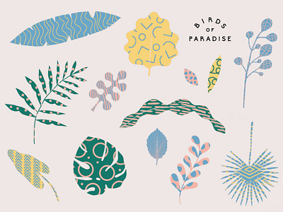 Birds of Paradise Gelato leaf leaves pattern vector