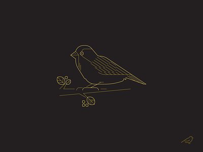 Sparrow bird character illustration illustrator nature sparrow vector