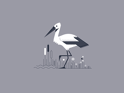 Stork on Grass bird illustration illustrator outline stork vector vectorart