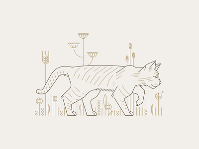 Hunting in the Wild cat grass illustration illustrator nature outline pet vector