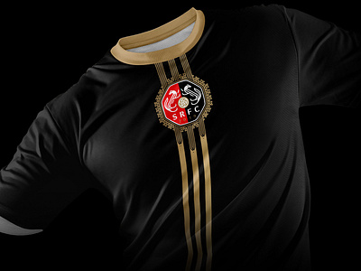 Stade Rennais Football Club I Rebrand adidas branding celtic crest football geometric logo soccer