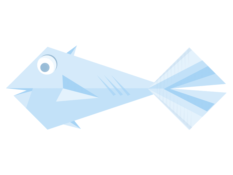 Flat fish illustration brand fish flat design identity illustration logo