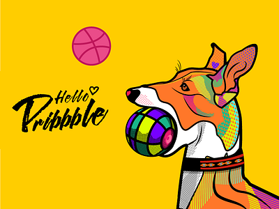 Hello Dribbble