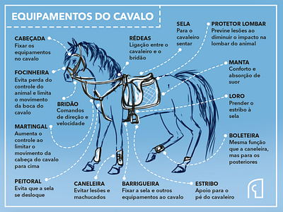 Equestrian Equipment / English Tack - Infographic