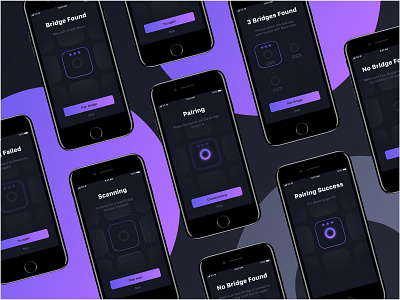 Neon HueLight app app bridge connect connection design hue ios light mobile pairing process philips scan search