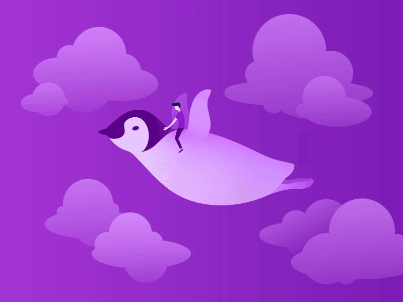 Simuka: Illustrations for Wi-Fi Bundles app bundles flying graphic illustration owl pelican penguin simuka ux whale wifi