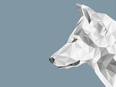 Geometric Wolf animal design geometric illustration wildlife wolf