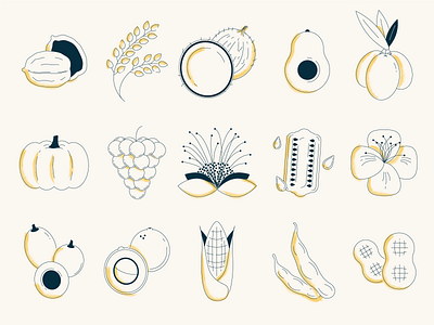 Cooking Oil Ingredients cooking food food illustration icon utopia icons ingredients kitchen oil olive oil