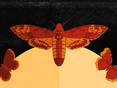 Spooky Moths design illustration moth spooky texture